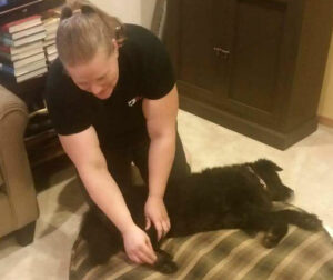 Melissa giving therapeutic massage to a small dog