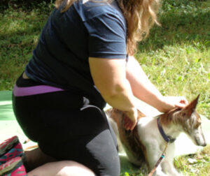 Melissa applying massage therapy to a happy dog